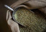 Colombian Huila Single Origin Coffee Beans 1kg