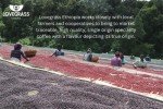 Ethiopia Sidamo Medium Roast Whole Bean Coffee 250g