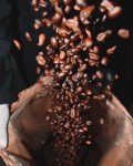 Tarara Premium Ethiopian Coffee Beans - 1kg