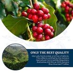 JA Coffee - 100% Blue Mountain Whole Bean Coffee