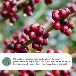 El Palto Organic Dark Roasted Coffee Beans 1 kg