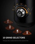 Adjustable Electric Coffee Grinder with Stainless Steel Cup