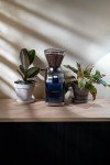 Baratza Virtuoso+ Electric Burr Coffee Grinder