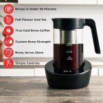 Instant Cold Brew & Iced Tea Maker 950ml