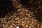 Brazil Fazenda Campestre No. 109 Whole Bean Coffee