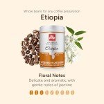 Ethiopian Arabica Coffee Beans Selection - 6x250g