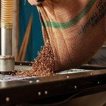 Italian Aroma Coffee - 1KG Whole Beans - City Roast
