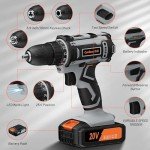 Cordless Drill Set 20V, Electric Drill with 42pcs Accessories and Battery 2.0Ah, Power Drill 25+1 Torque, 2 Speed, 3/8 Inch Keyless Chuck, LED Light, Power Tool Set for Home DIY and Garden Repair