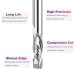 SpeTool 3/8" Compression Router Bit for Woodworking