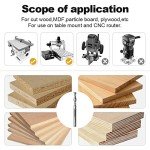FivePears 1/4" Down Cut Spiral Router Bit