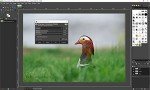 GIMP Photo Editor 2025 - Lifetime License Software