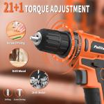 PULITUO 20V Cordless Drill Driver with 2 Batteries