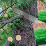 Frocopo 6-Inch Japanese Pull Saw with Non-Slip Handle