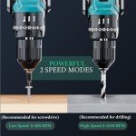 21V Cordless Drill with 2-Battery and Charger, Electric drill Set, Power Drill Cordless with 3/8 Inch Keyless Chuck, 25+ 3 Clutch,Work Light, Max torque 45Nm, 2-Variable Speed (Small)