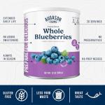 Augason Farms Freeze Dried Blueberries, 26 Servings
