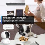 1080P HD WiFi Baby Monitor & Pet Cam