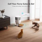 Smart Automatic Cat Feeder with WiFi and App