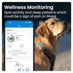 Tractive GPS for Dogs XL - Real-Time Tracking
