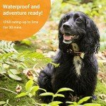 Pawfit 3s Waterproof GPS Dog Tracker & Monitor