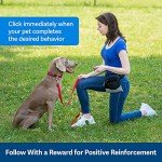 PetSafe Clicker Trainer for Dogs - Positive Reinforcement