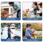 Dog Treat Pouch Training Kit with Clicker & Whistle