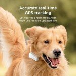 Petcube GPS Dog Tracker with Escape Alerts