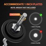 EZ Curl Bar for Home Gym Workouts