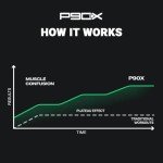 Beachbody P90X Basic Workout Set with DVD