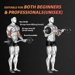 EZ Curl Bar for Home Gym Workouts