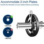 47" Olympic EZ Curl Bar with Spring Collars