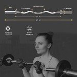 47" Olympic EZ Curl Bar with Spring Collars