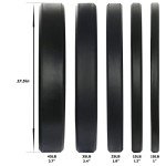 Olympic Bumper Weight Plates Set - 160LB Total