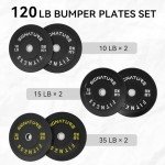 Olympic Bumper Plates Set – 120 Pounds Total