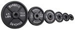 Signature Fitness Olympic Cast Iron Weight Plates