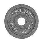 10 lb CAP Barbell Olympic Weight Plate - Gray