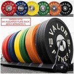 Valor Fitness 15 lb Polyurethane Bumper Plates - Set of 2