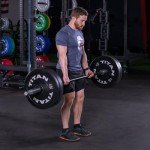 Titan Fitness 15 LB Olympic Bumper Plates Pair