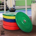 Premium Olympic Bumper Plates for Strength Training