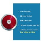 Amber Fight Gear 80% Galvanized Steel Throw Discus
