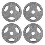 WF Athletic Supply Cast Iron Grip Weight Plates