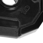 10 lb CAP Barbell Rubber Olympic Weight Plate