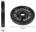 Fitvids 25LB Olympic Cast Iron Weight Plate