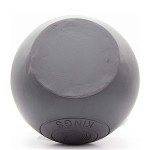 Kettlebell Kings Competition 20LB Kettlebell for Home Gym