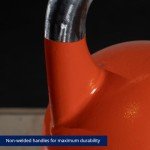 Titan Fitness 12 KG Competition Kettlebell for Workouts