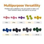 8 lb Neoprene Coated Hex Dumbbell Set of 2