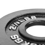 Olympic Weight Plates Set - 85LB Total Weight