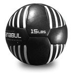 Sanabul Lab Series 14-inch Medicine Ball for Exercise Cross Training Essential Core Workouts and Explosive Fitness Exercises Weighted Ball - Black/White, 15 lbs