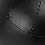 Titan Fitness Soft Leather Medicine Wall Ball 10 lb. Durable, Endurance, Cardio, Core Strength