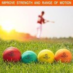 Soft-Shell Weighted Ball Set with Seams and Carrying Case 32, 21, 14, 7, 5, 3.5oz for Pitching/Velocity Training