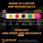 Driveline Baseball PlyoCare® Balls - 6 Weighted & Durable Training Balls - Scan QR Code for Free 16-Week Pitching Program - Plyo Balls for Baseball